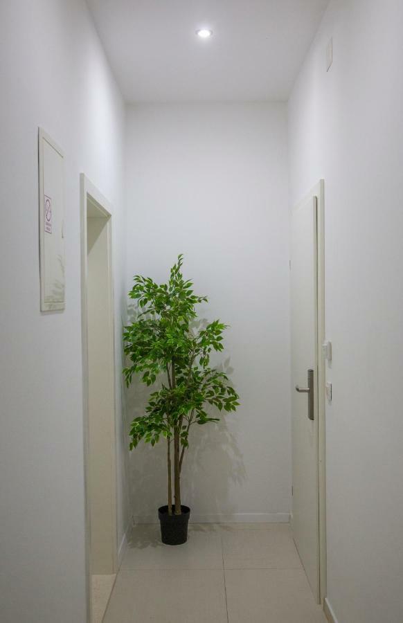 דוברובניק Apartments Victoria מראה חיצוני תמונה