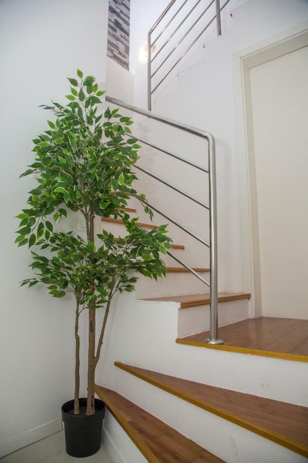 דוברובניק Apartments Victoria מראה חיצוני תמונה