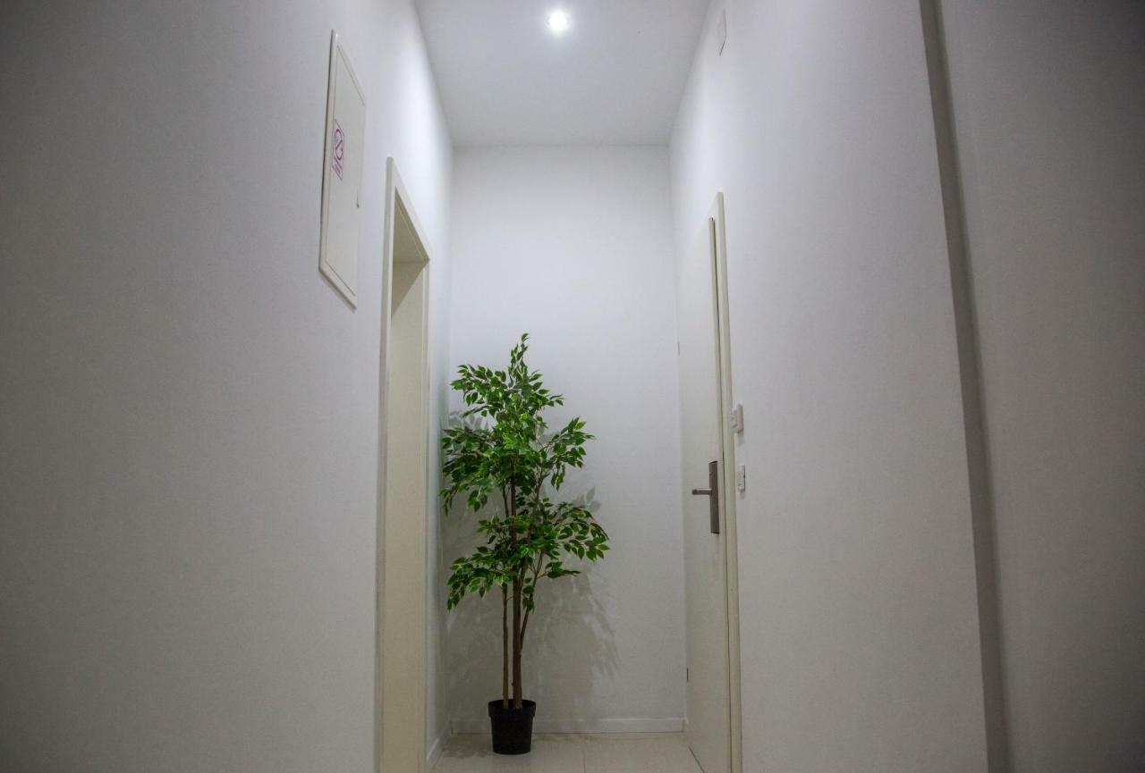 דוברובניק Apartments Victoria מראה חיצוני תמונה